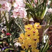 IMG-20250206-WA0000.jpg